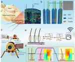 Biomimetic hairy whiskers for robotic skin tactility