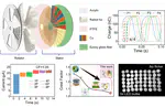 Rationally Segmented Triboelectric Nanogenerator with Constant Direct-Current Output and Low Crest Factor