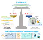 A Self-Sustainable, Ultrarobust and High-Power-Density Triboelectric Nanogenerator for In-Situ Powering of Marine Internet of Things
